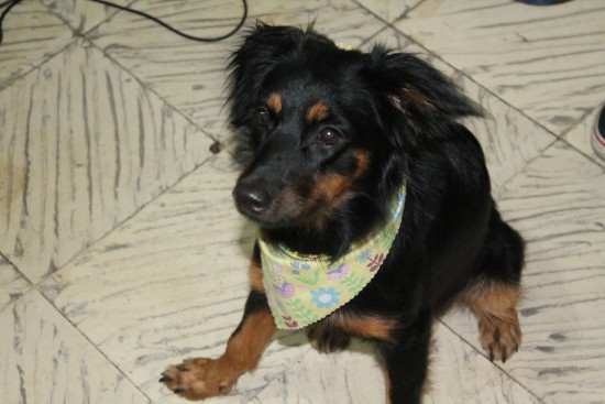Kita